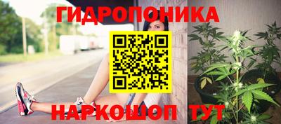 a pvp Кандалакша