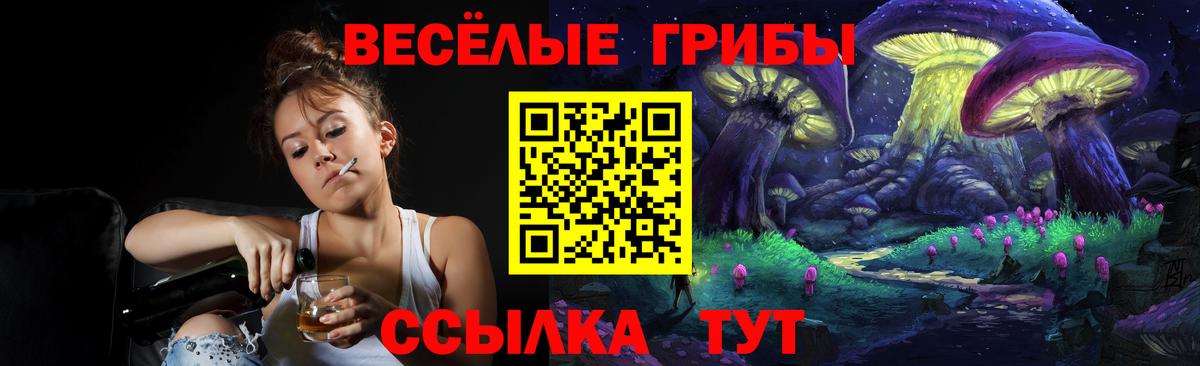 Псилоцибиновые грибы GOLDEN TEACHER Избербаш
